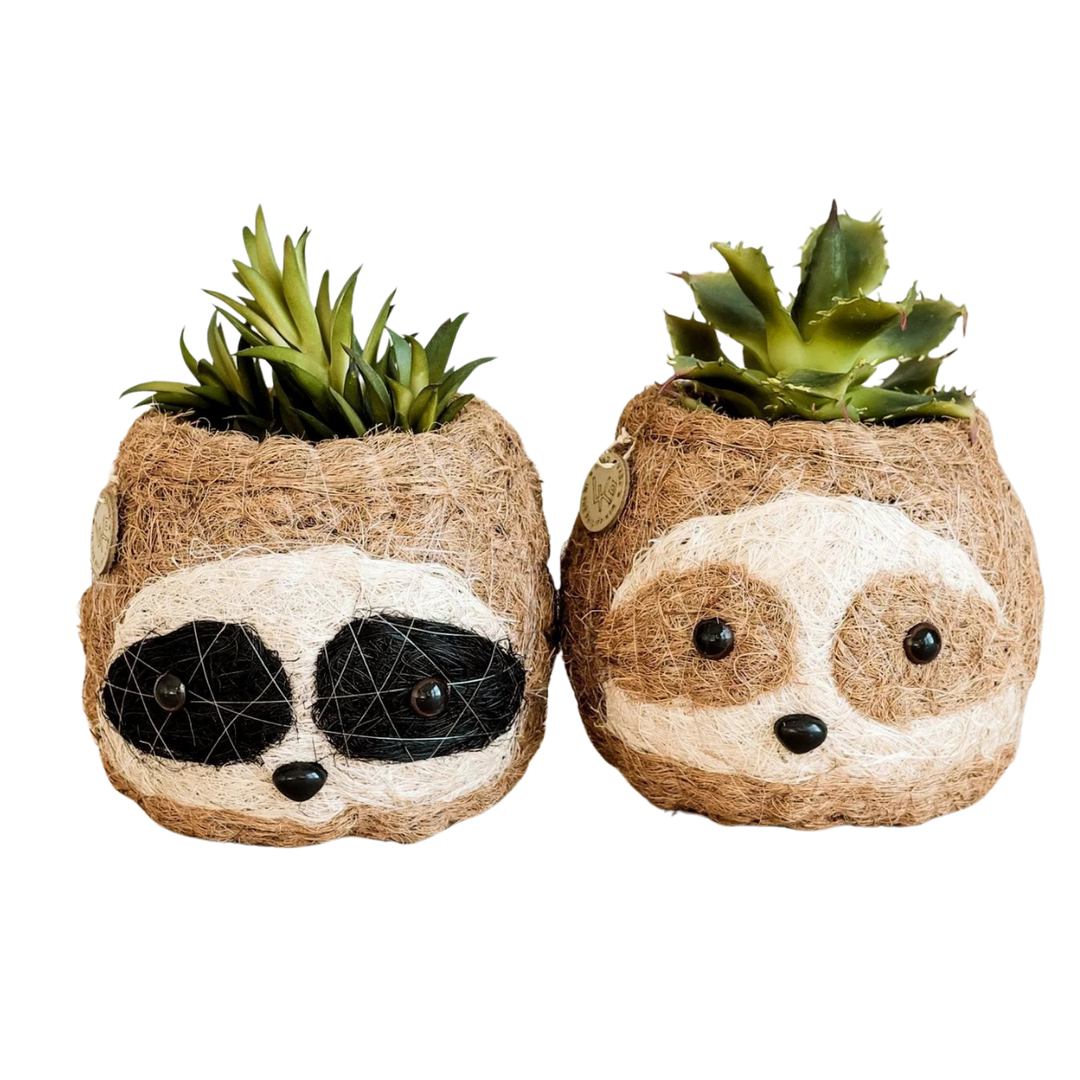 Coco Coir Sloth Planter Natural