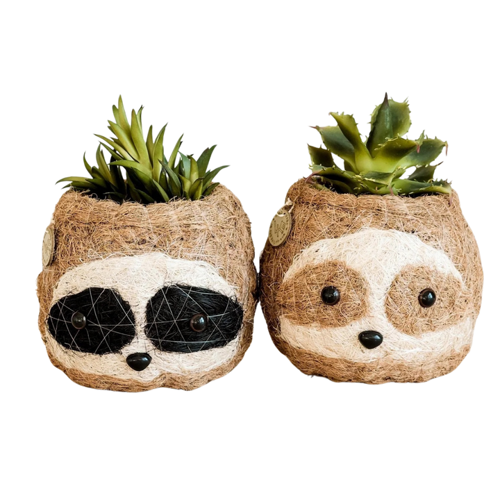 Coco Coir Sloth Planter Natural