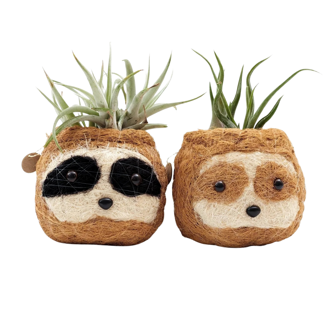 Coco Coir Sloth Planter Natural