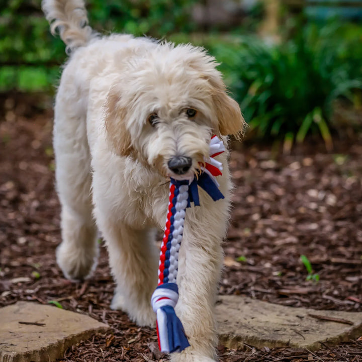 Upcycled T-Shirt Tug Dog Toy, Multi-Size