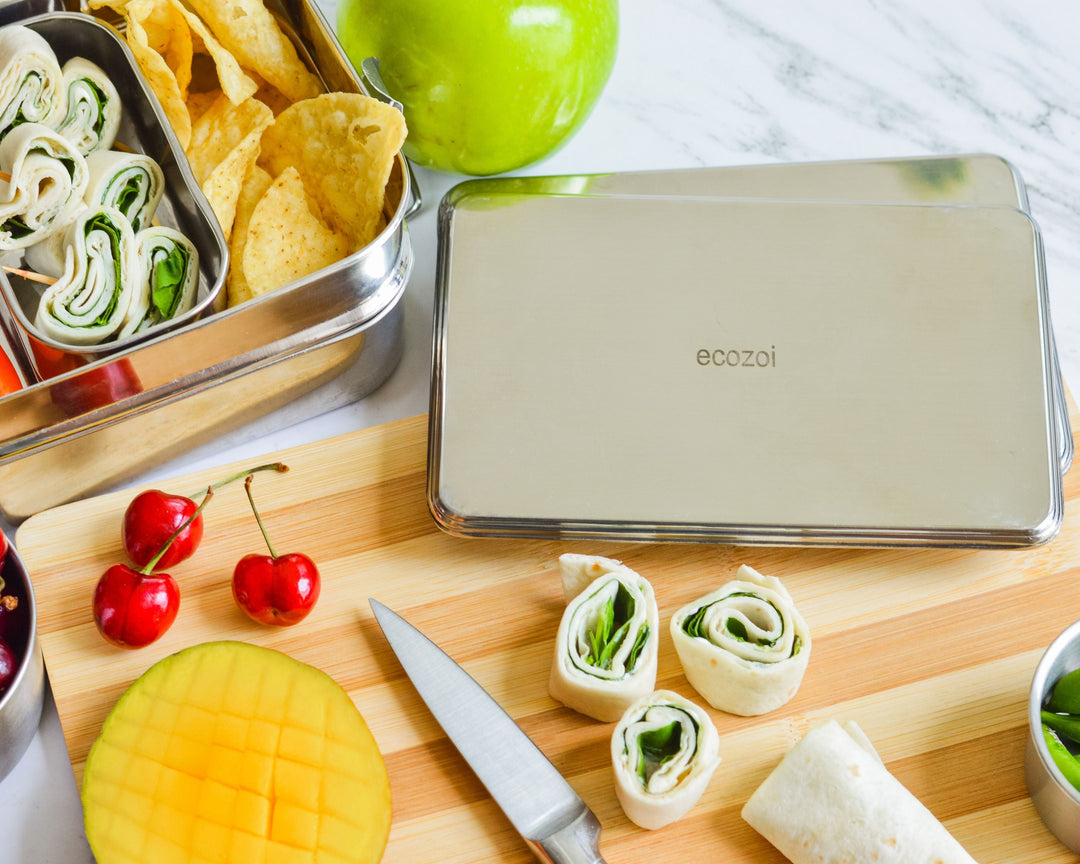 Plastic-Free Stainless Steel Ice Packs, 2 Ct.