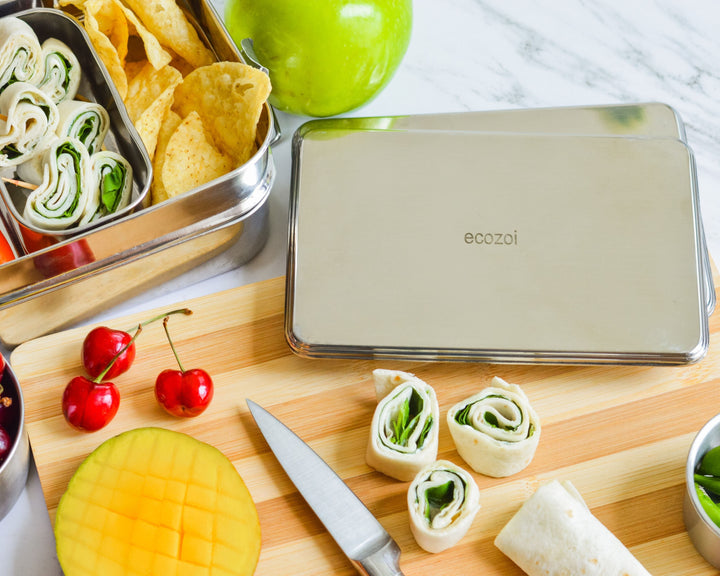 Plastic-Free Stainless Steel Ice Packs, 2 Ct.