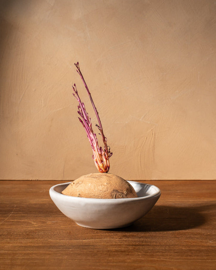 Handcrafted Ceramic Cloud Oval Dinnerware Bowl, 4 Ct.