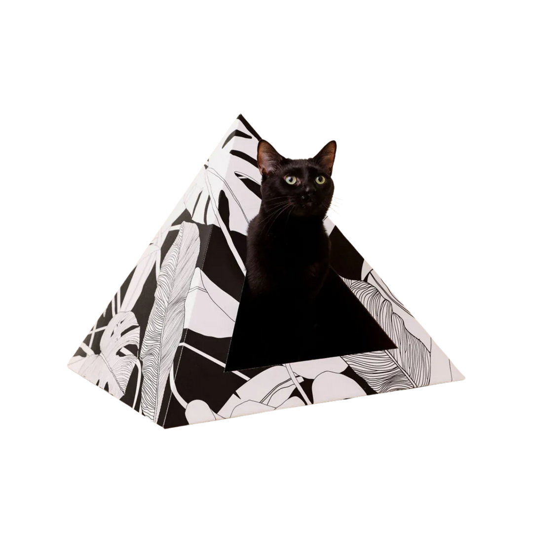 Dark Paradise Cat Pyramid