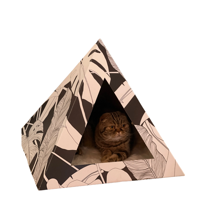 Dark Paradise Cat Pyramid