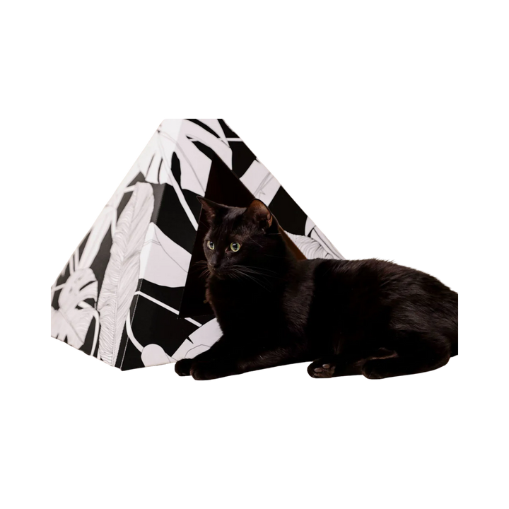Dark Paradise Cat Pyramid