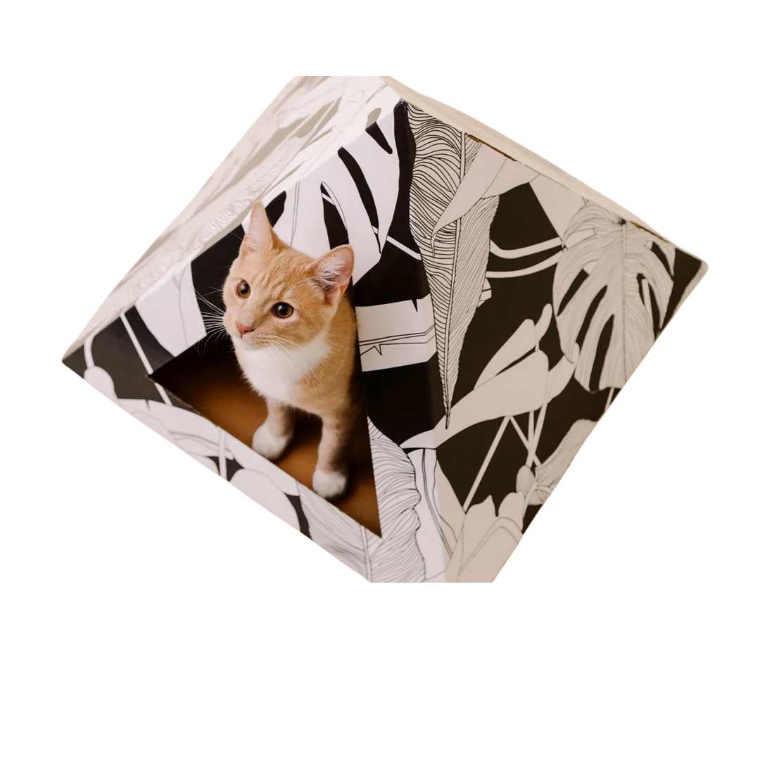 Dark Paradise Cat Pyramid