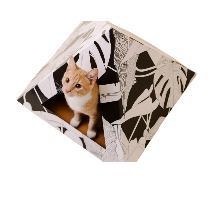 Dark Paradise Cat Pyramid