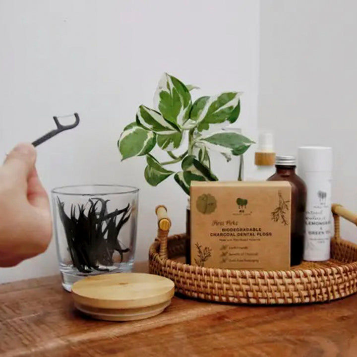Biodegradable Charcoal PLA Floss Picks, Peppermint