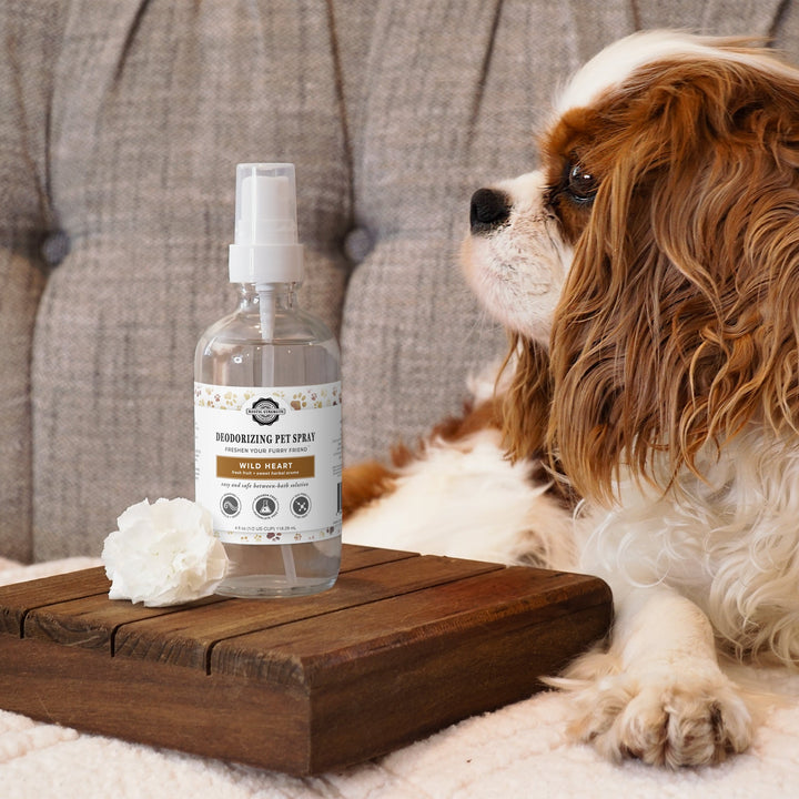Biodegradable Non-Toxic Pet Deodorizing Spray