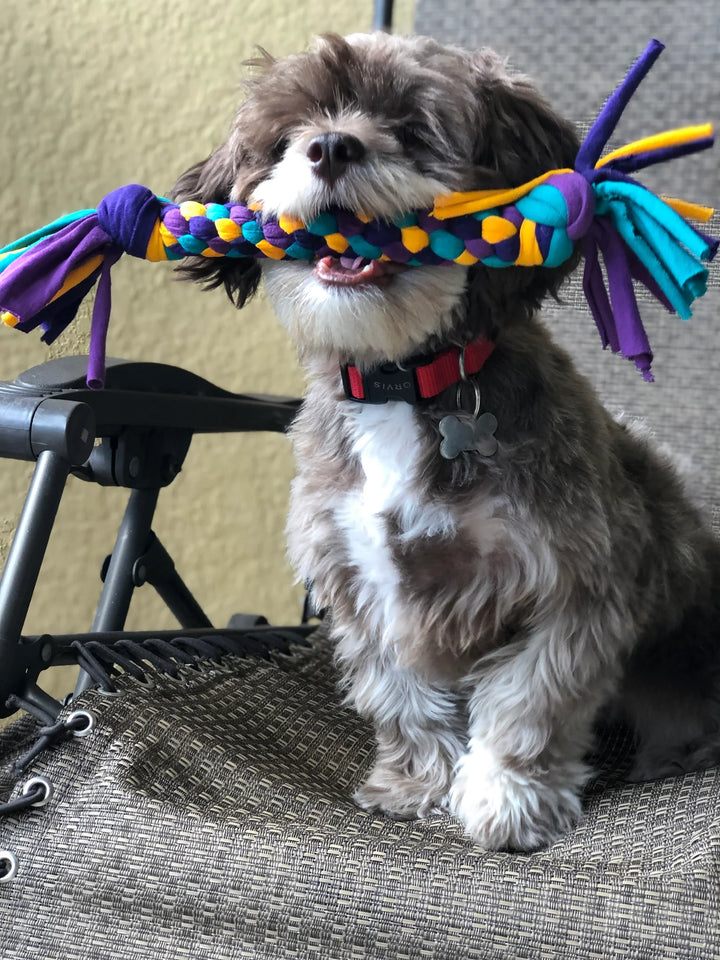 Upcycled T-Shirt Tug Dog Toy, Multi-Size