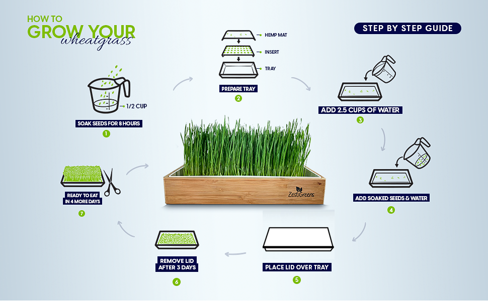 Organic Self-Watering Home Sprouting Growing Kit