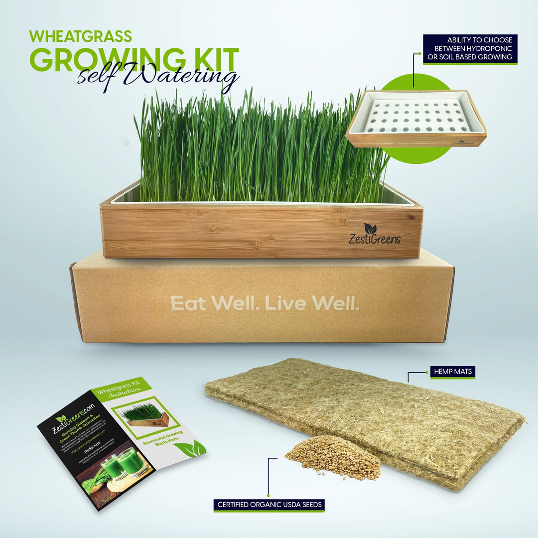 Organic Self-Watering Home Sprouting Growing Kit