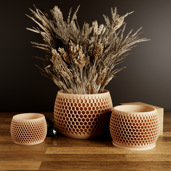 Bioplastic Honeycomb Geometric Planter, 3 Sizes