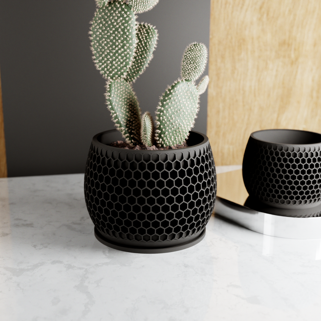 Bioplastic Honeycomb Geometric Planter, 3 Sizes