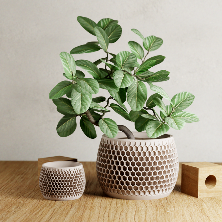Bioplastic Honeycomb Geometric Planter, 3 Sizes