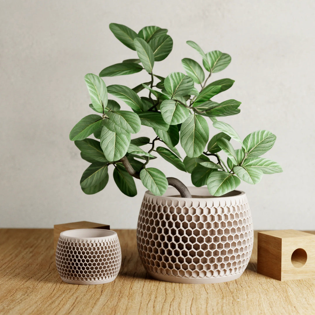 Honeycomb Geometric Home Planter Set