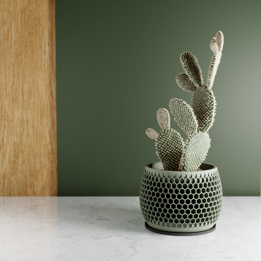 Bioplastic Honeycomb Geometric Planter, 3 Sizes