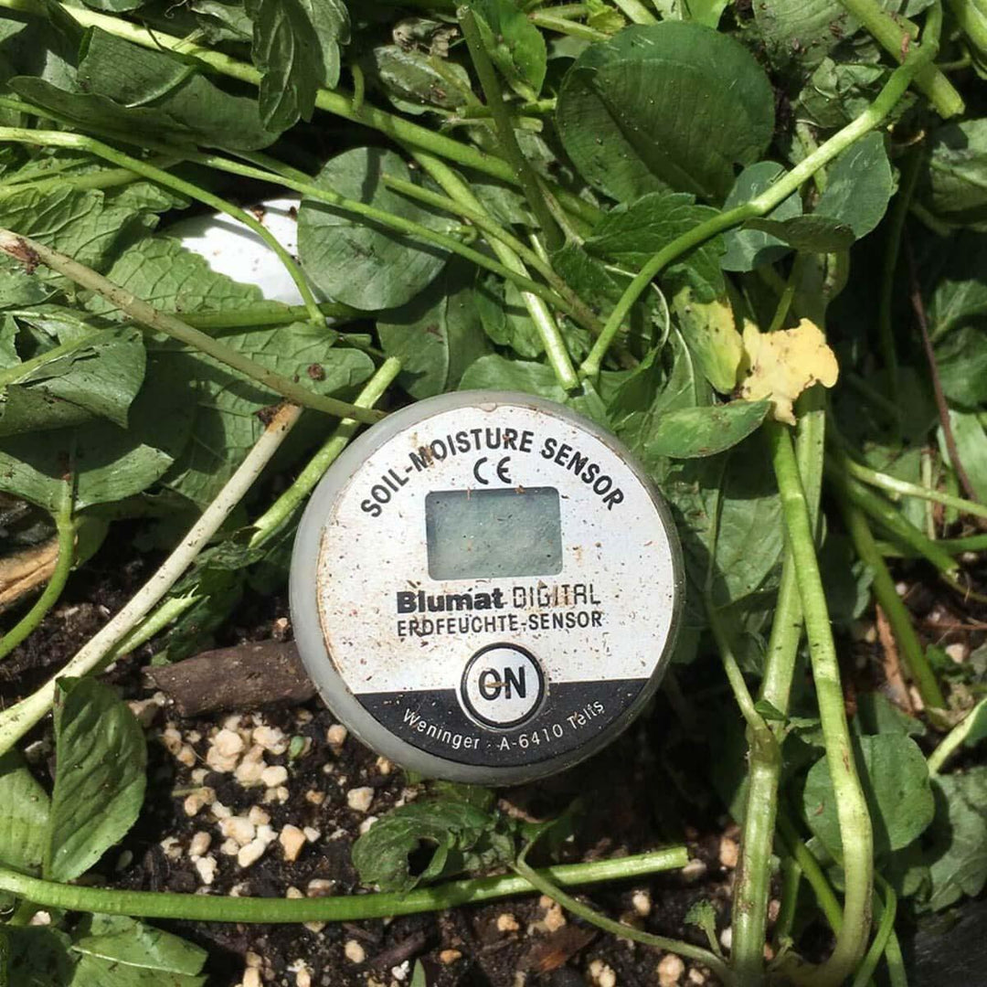 Digital Soil Moisture Meter with Protective Cap