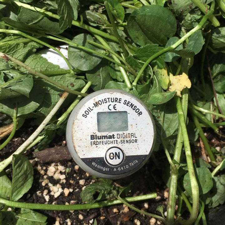 Digital Soil Moisture Meter with Protective Cap