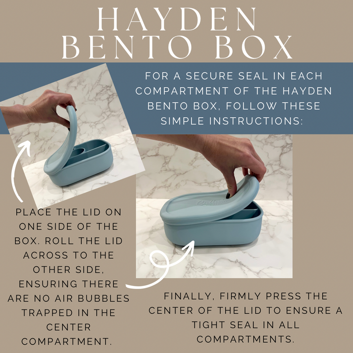 Non-Toxic Silicone Bento Lunch Box, BPA-Free