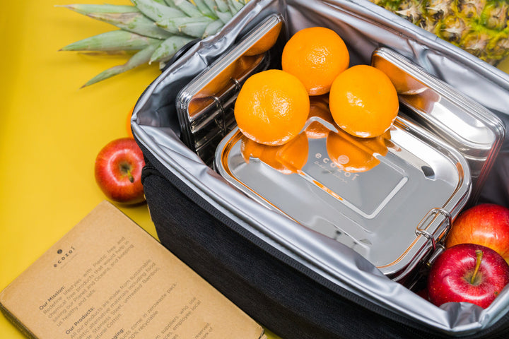 Plastic-Free Stainless Steel Ice Packs, 2 Ct.
