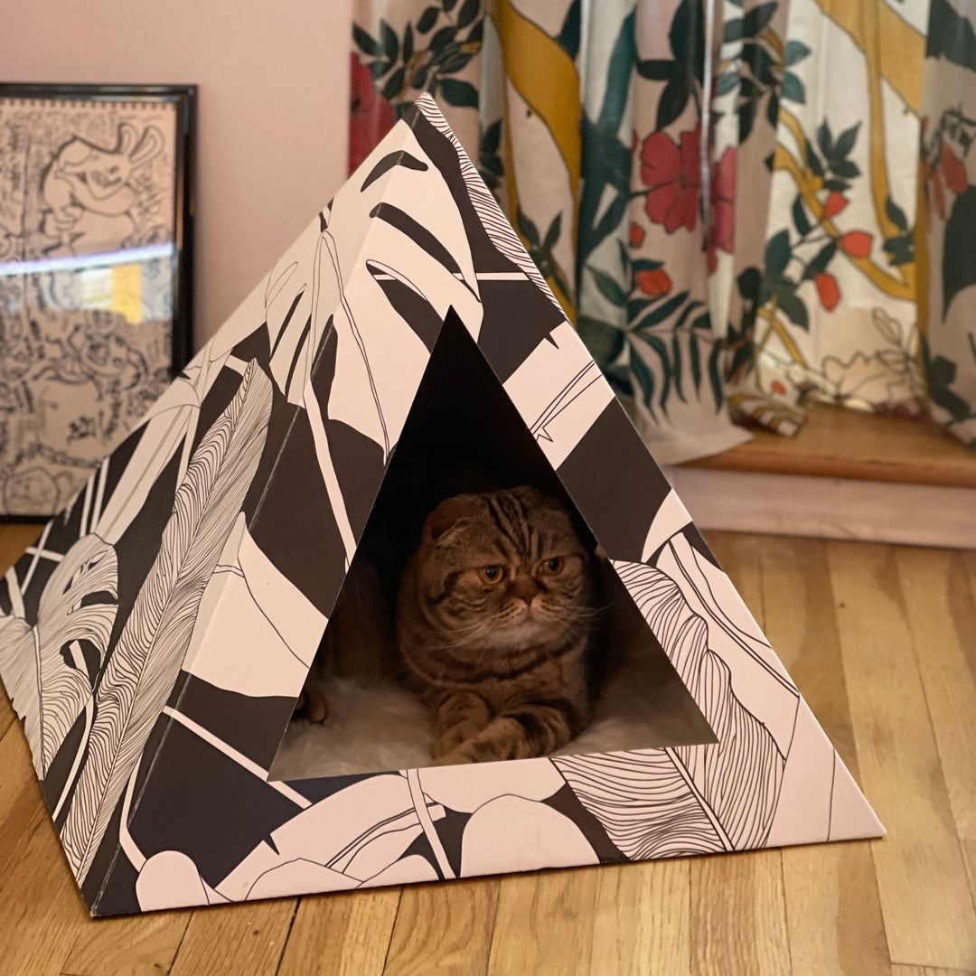 Recycled Cardboard Cat Pyramid, Dark Paradise