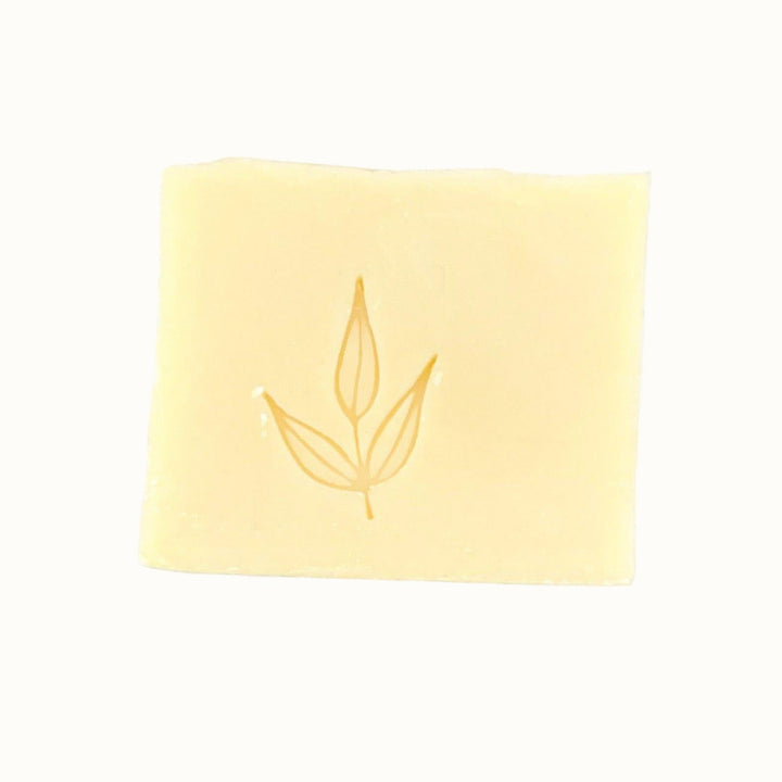 Biodegradable Pure Castile Olive Oil Dish Soap Bar, 8 oz.