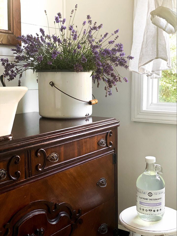 Biodegradable Unscented Concentrated Liquid Detergent