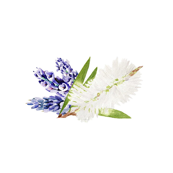 Lavender Tea Tree Body Wash