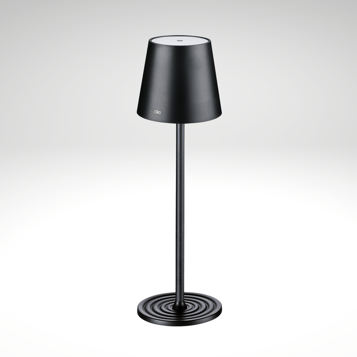 Rechargeable Aluminum Touch-Dim LED Table Lamp