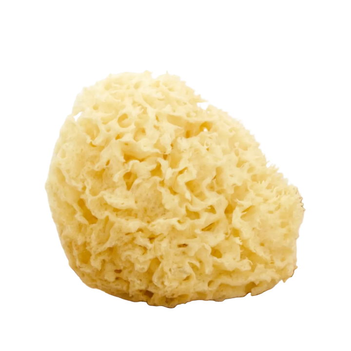 Natural Sea Sponge Bath Set