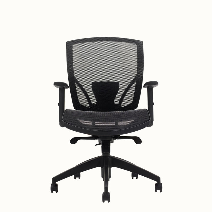 GREENGUARD All-Mesh Ergonomic Office Chair, Fully Adjustable