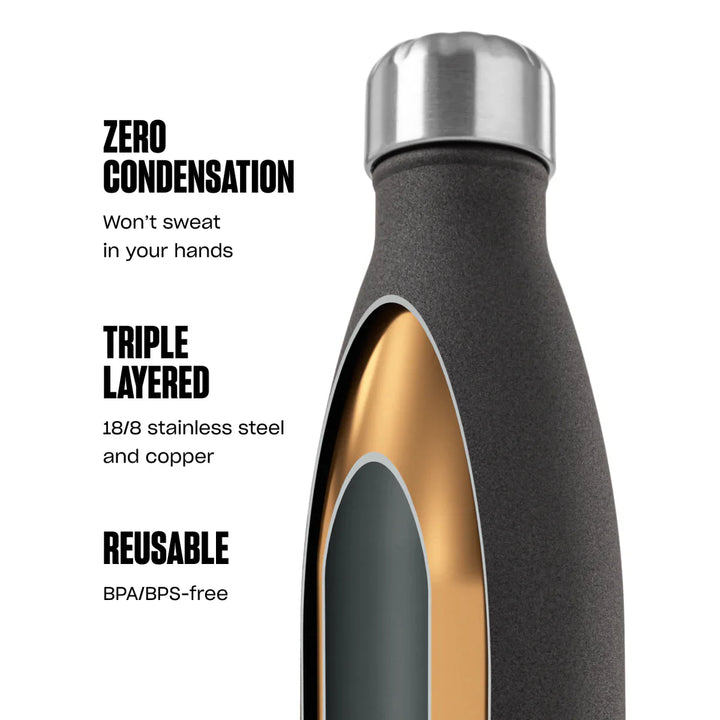 BPA-Free Insulated Stainless Steel Bottle, 17 oz Wild Cherry