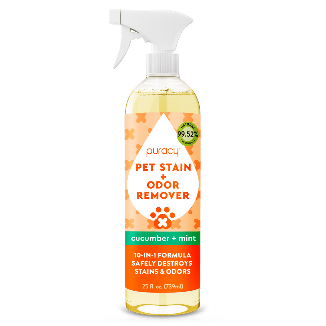 Bottle of puracy Pet Stain + Odor Remover on a green background