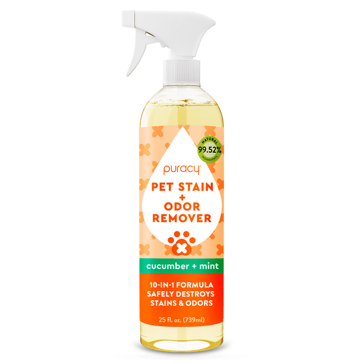 Bottle of puracy Pet Stain + Odor Remover on a green background