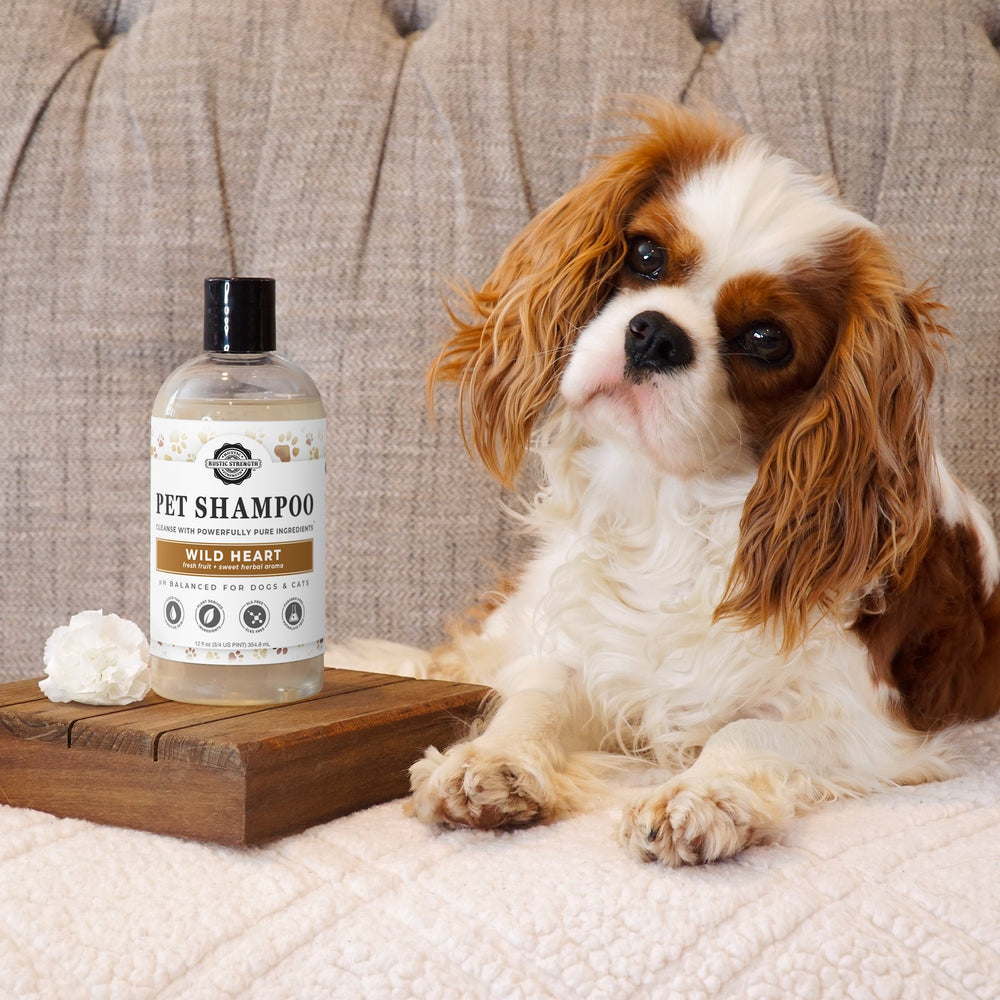 Dog sitting next to a bottle of pet shampoo on a wooden tray with a floral arrangement.