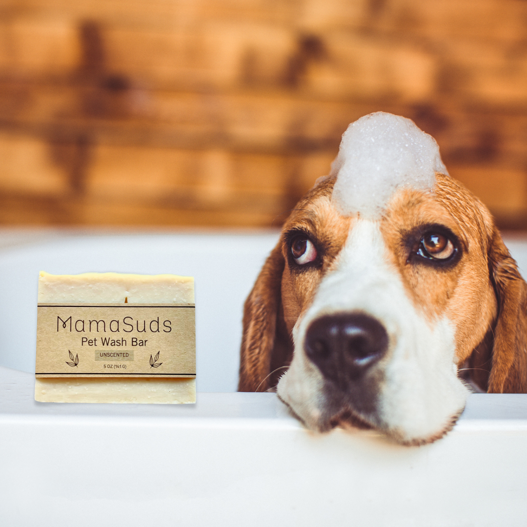 Biodegradable Castile Olive Oil Pet Wash Bar, 5 oz.
