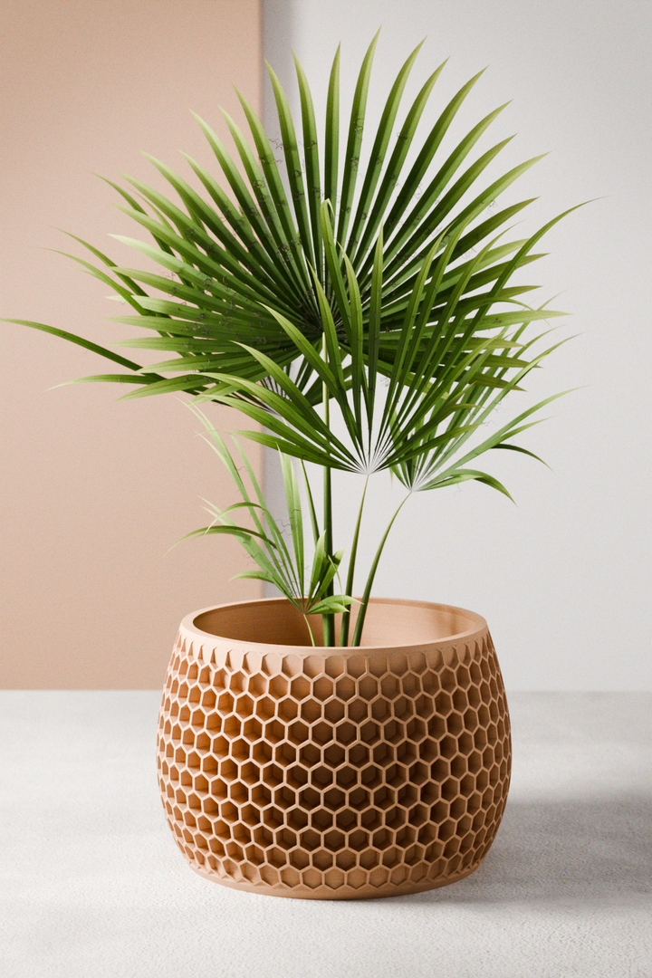 Bioplastic Honeycomb Geometric Planter, 3 Sizes