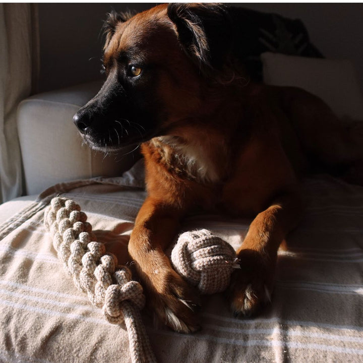 Handcrafted Organic Hemp Rope Dog Tug Toy