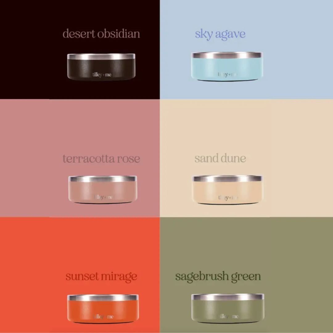 Non-Slip Stainless Steel Pet Bowl