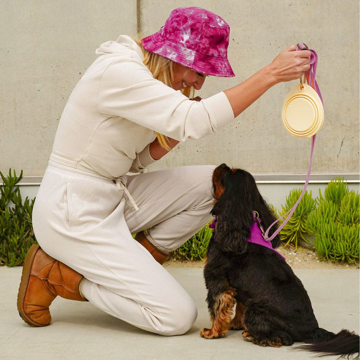 Collapsible Double Pet Travel Bowl, Portable