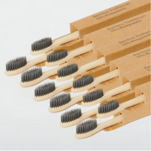 Biodegradable Bamboo Charcoal Bristle Toothbrush