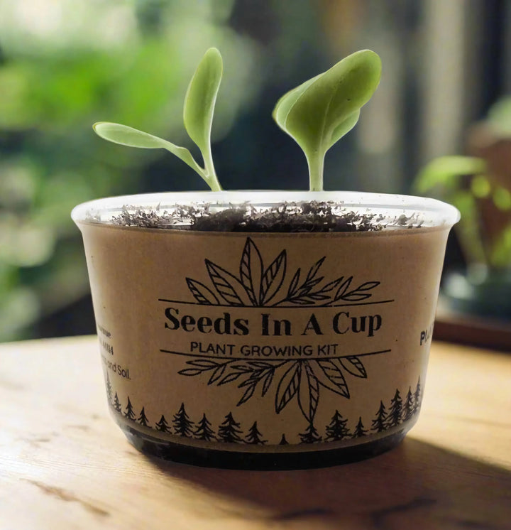 Organic Custom Herb &amp; Veggie Grow Kit, 10 Ct.