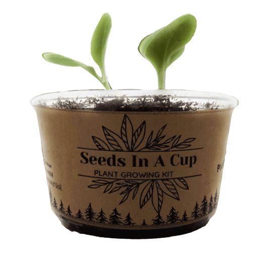 Organic Custom Herb &amp; Veggie Grow Kit, 10 Ct.