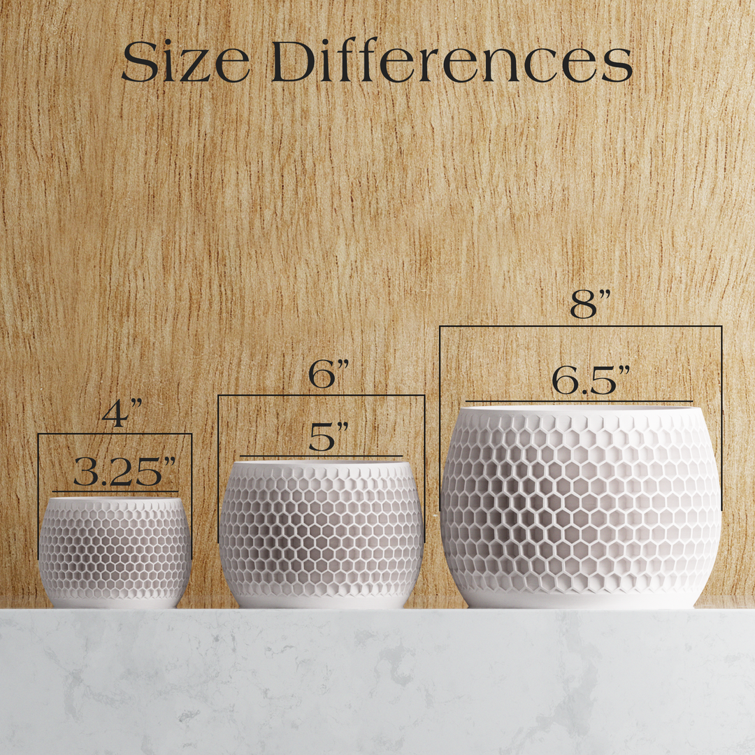 Bioplastic Honeycomb Geometric Planter, 3 Sizes