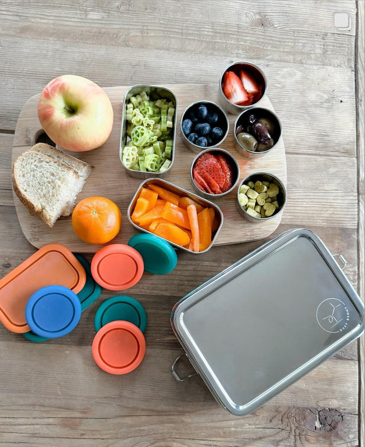 Plastic-Free Stainless Steel Snack Box Set, 9 Ct.
