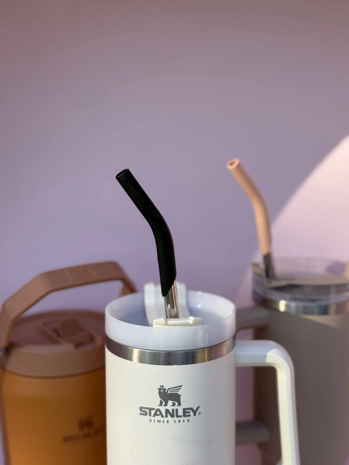 Stainless Steel Drinking Straw Set