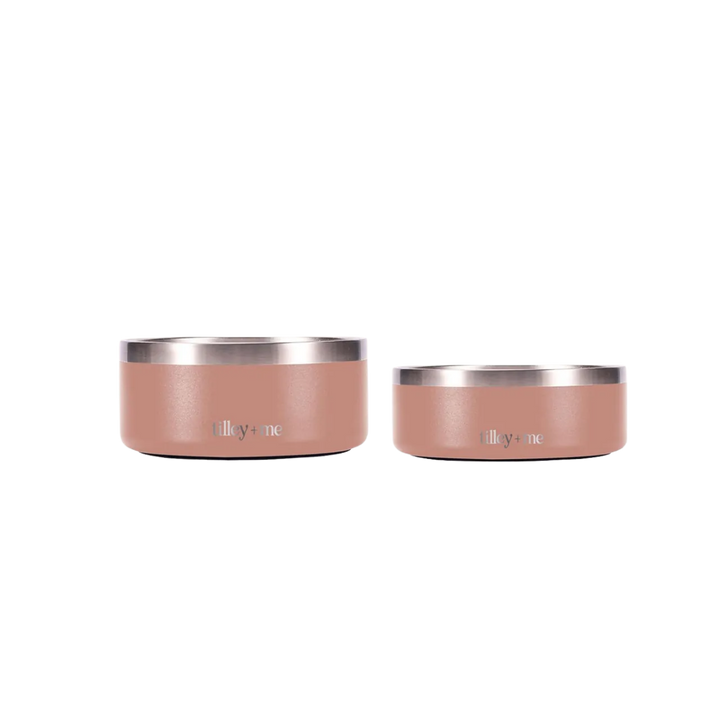 Stainless Steel Pet Bowl Set