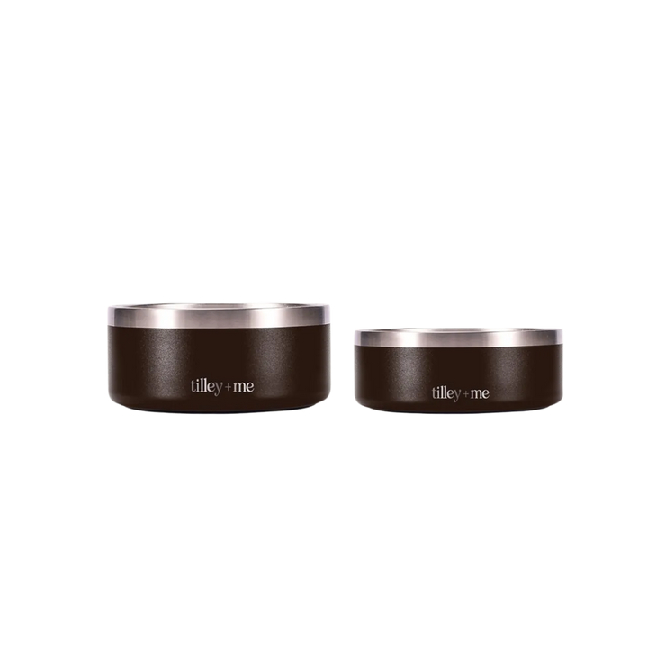 Stainless Steel Pet Bowl Set
